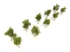 realistic shrub bush set 3D Model