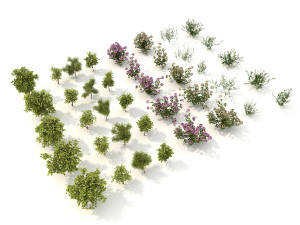 realistic shrub bush set 3D Model