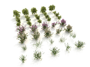 realistic shrub bush set 3D Model