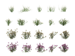 realistic shrub bush set 3D Model