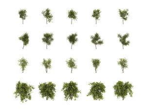 realistic shrub bush set 3D Model