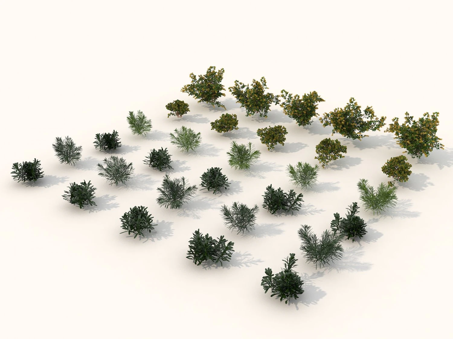 realistic shrub bush set 2 3D Model .c4d .max .obj .3ds .fbx .stl .blend 