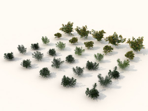 realistic shrub bush set 2 Modello 3D