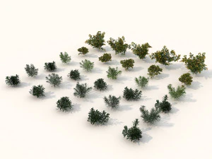 arbusto realista conjunto 2 Modelo 3D