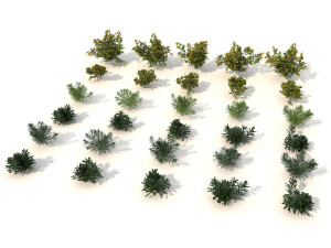 realistic shrub bush set 2 3D मॉडल