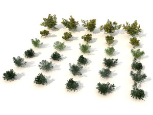 realistic shrub bush set 2 3D Model
