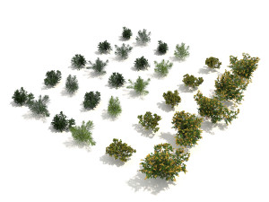 realistic shrub bush set 2 3D मॉडल
