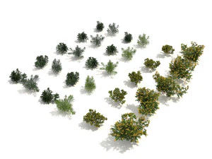 realistic shrub bush set 2 3D Model