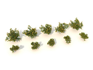 realistic shrub bush set 2 3D मॉडल