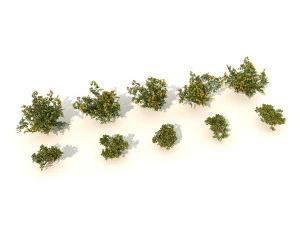 realistic shrub bush set 2 3D Model