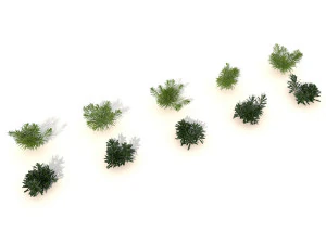 realistic shrub bush set 2 3D Model