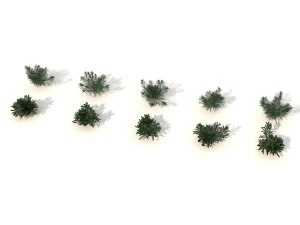realistic shrub bush set 2 3D Model