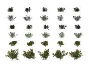 realistic shrub bush set 2 3D Model