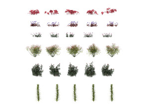 realistic shrub bush set 3 Model 3D