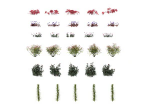 realistic shrub bush set 3 3D Model
