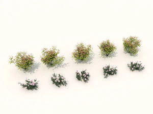 realistic shrub bush set 3 3D Model
