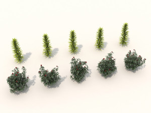 realistic shrub bush set 3 Model 3D