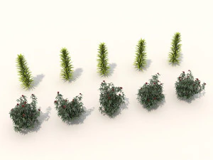realistic shrub bush set 3 3D Model