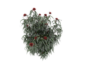 realistic shrub bush set 3 Model 3D