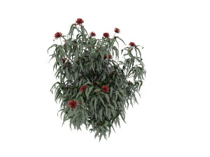 realistic shrub bush set 3 3D Model