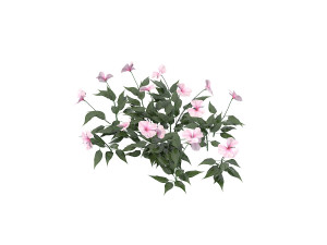 realistic shrub bush set 3 Model 3D