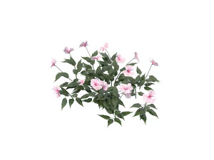 realistic shrub bush set 3 3D Model