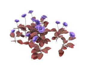 realistic shrub bush set 3 Model 3D