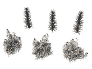 realistic shrub bush set 3 Model 3D
