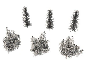 realistic shrub bush set 3 3D Model