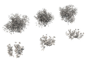 realistic shrub bush set 3 Model 3D
