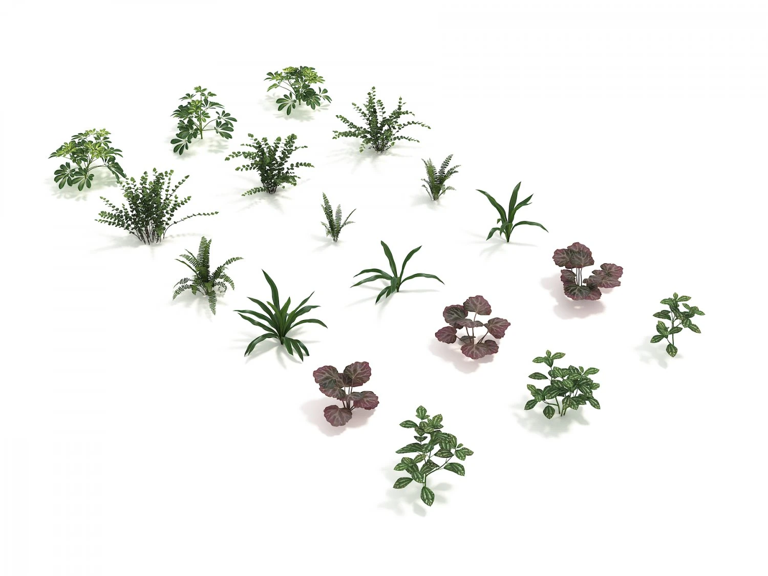 realistic shrub bush set 4 3D Model .c4d .max .obj .3ds .fbx .stl .blend 