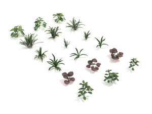 realistic shrub bush set 4 Modelo 3D