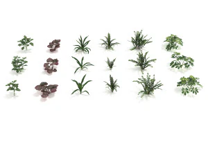 realistic shrub bush set 4 3D Model