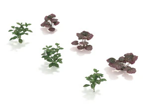 realistic shrub bush set 4 3D Model