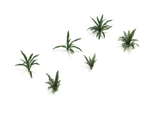 realistic shrub bush set 4 3D Model