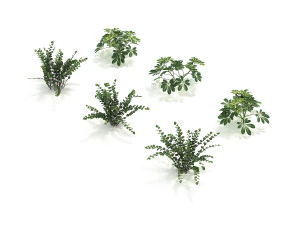 realistic shrub bush set 4 3D Model