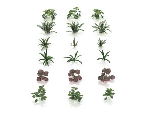 realistic shrub bush set 4 3D Model
