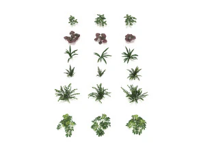 realistic shrub bush set 4 3D Model