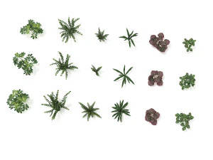 realistic shrub bush set 4 3D Model