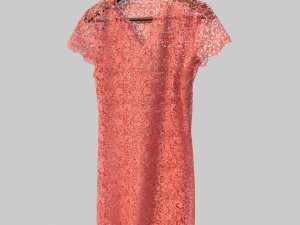 dress on hanger 3D Model