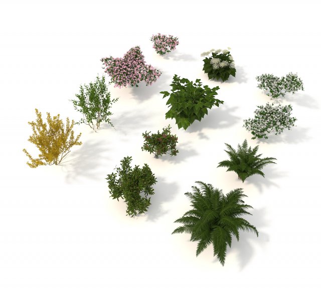 realistic garden shrub 3D Model .c4d .max .obj .3ds .fbx .stl .blend 