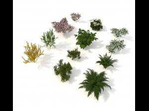 arbusto de jard&iacute;n realista Modelo 3D