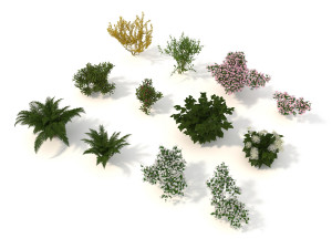 realistic garden shrub 3D Model