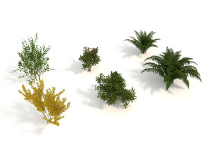 realistic garden shrub 3D Model