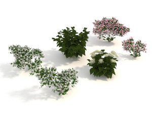 realistic garden shrub 3D Model