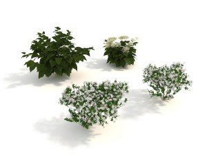 realistic garden shrub 3D Model