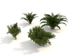 realistic garden shrub 3D Model