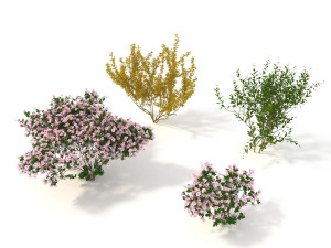realistic garden shrub 3D Model
