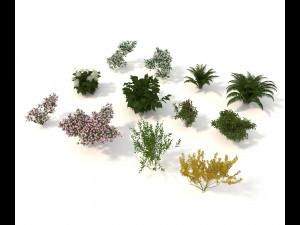 realistic garden shrub 3D Model