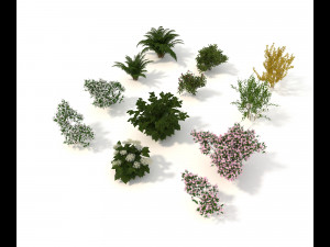 realistic garden shrub 3D Model